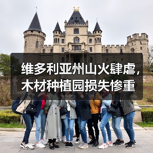 维多利亚州山火肆虐，木材种植园损失惨重（图3）