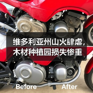 维多利亚州山火肆虐，木材种植园损失惨重（图4）