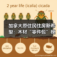 加拿大原住民住房新希望:木材“零件包”模式开启自建时代(图2) 加拿大原住民住房新希望:木材“零件包”模式开启自建时代(图2)