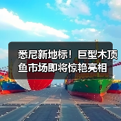 悉尼新地标！巨型木顶鱼市场即将惊艳亮相（图2）
