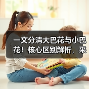 一文分清大巴花与小巴花！核心区别解析，采购避坑必看（图1）
