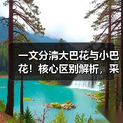 一文分清大巴花与小巴花！核心区别解析，采购避坑必看（图3）