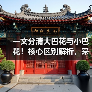一文分清大巴花与小巴花！核心区别解析，采购避坑必看（图4）
