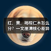 红、黄、褐榄仁木怎么分？一文厘清核心差异与应用边界（图4）