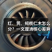 红、黄、褐榄仁木怎么分？一文厘清核心差异与应用边界（图1）