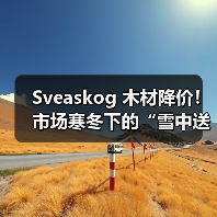 Sveaskog 木材降价！市场寒冬下的“雪中送炭”还是“无奈之举”？（图4）