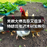 关税大棒高悬又缓落？特朗普推迟木材加税引爆家居市场“冰火两重天”（图3）